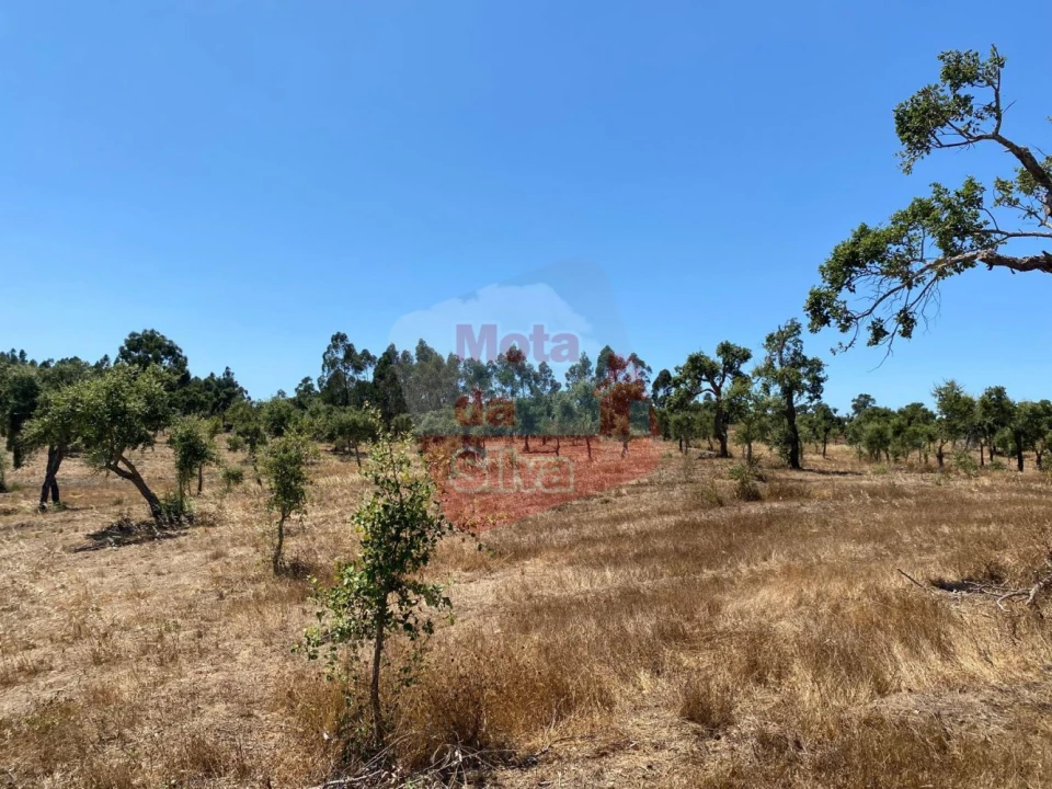 Quinta T0 para Venda em Abela Foto 17