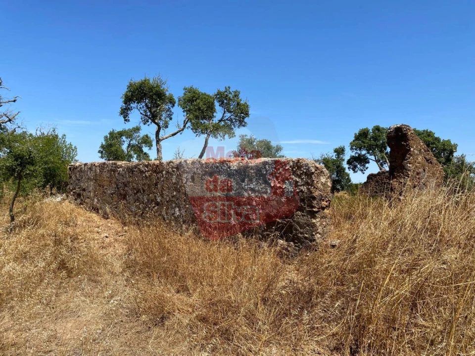 Quinta T0 para Venda em Abela Foto 4