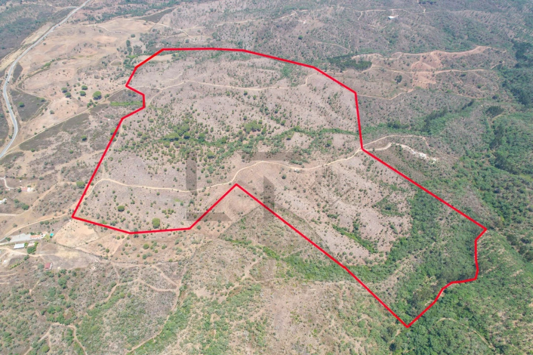 Terreno para Venda em São Francisco da Serra Foto 1