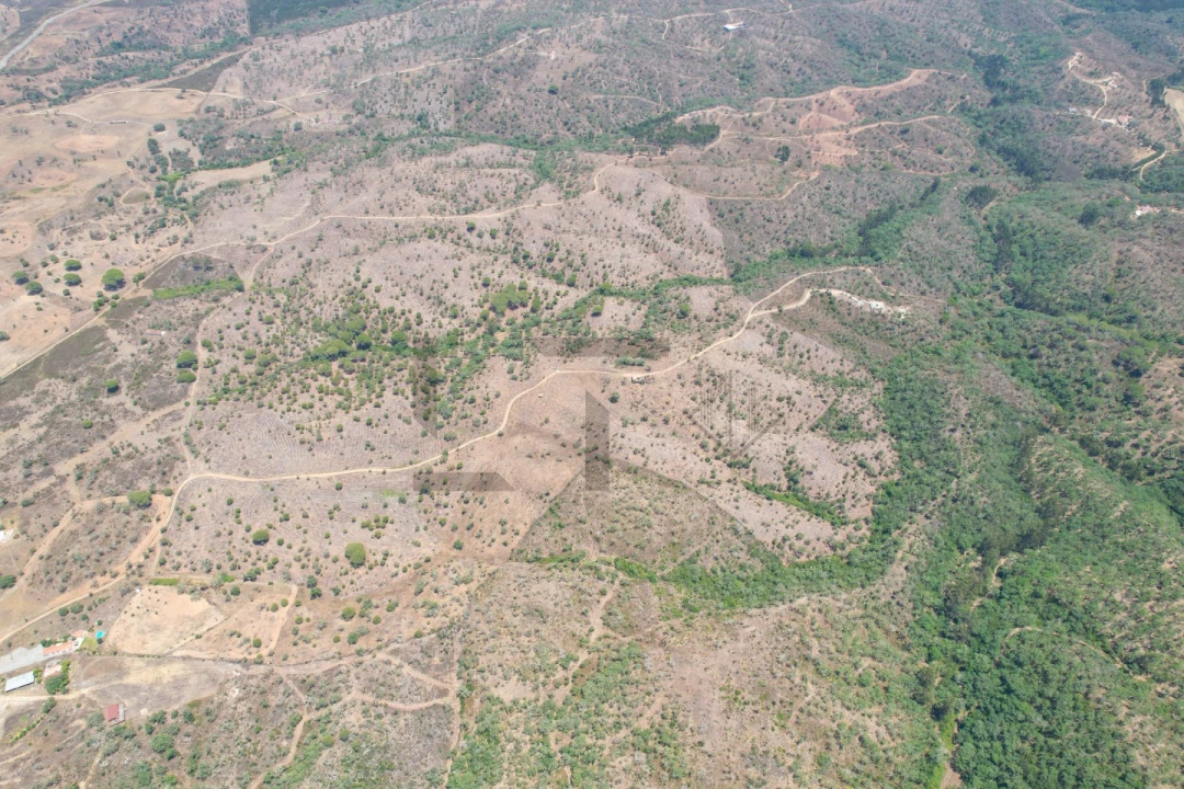 Terreno para Venda em São Francisco da Serra Foto 4