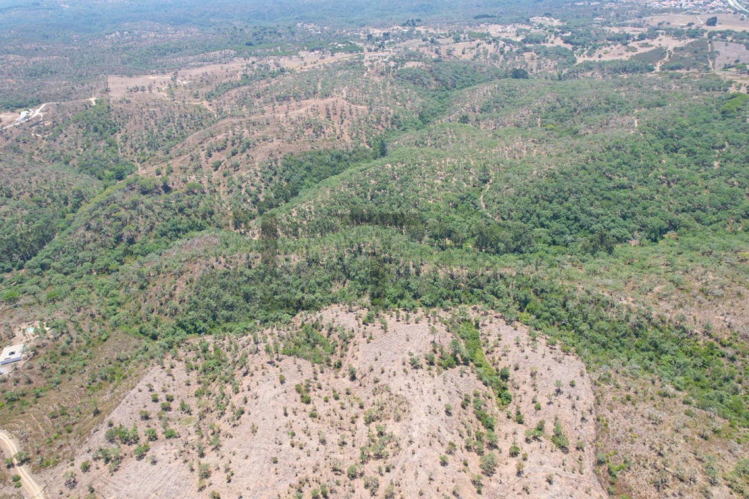 Terreno para Venda em São Francisco da Serra Foto 13