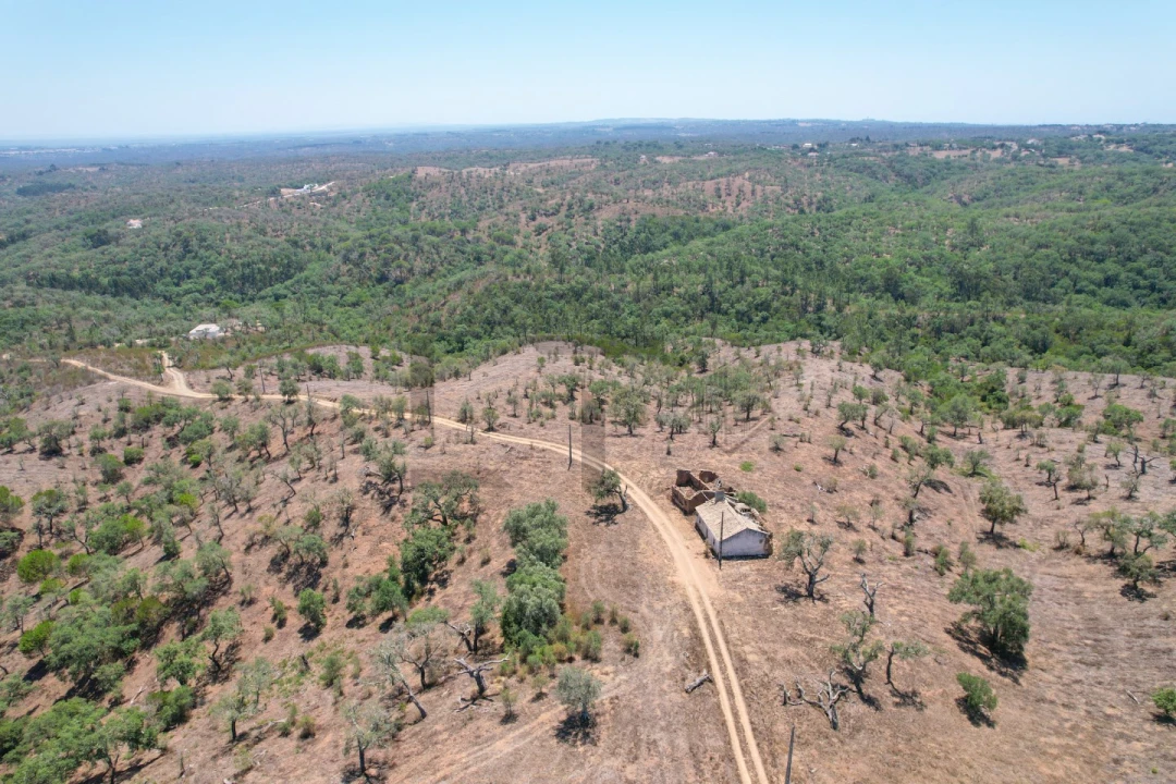 Terreno para Venda em São Francisco da Serra Foto 19