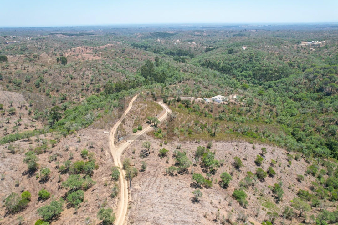 Terreno para Venda em São Francisco da Serra Foto 21