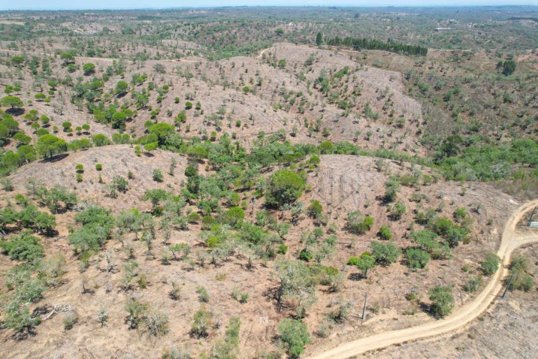 Terreno para Venda em São Francisco da Serra Foto 22