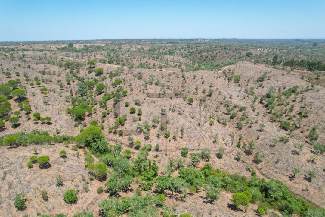 Terreno para Venda em São Francisco da Serra Foto 23