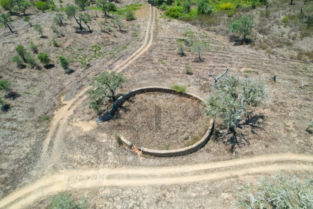 Terreno para Venda em São Francisco da Serra Foto 30