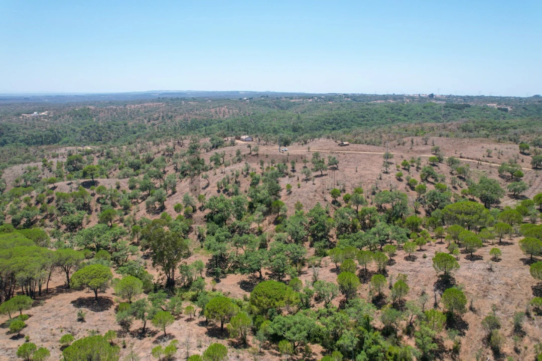 Terreno para Venda em São Francisco da Serra Foto 33