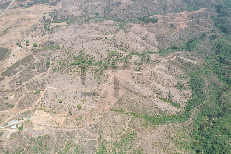 Terreno para Venda em São Francisco da Serra Foto 6