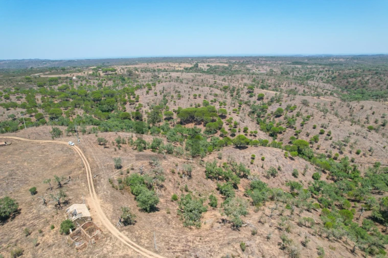 Terreno para Venda em São Francisco da Serra Foto 20