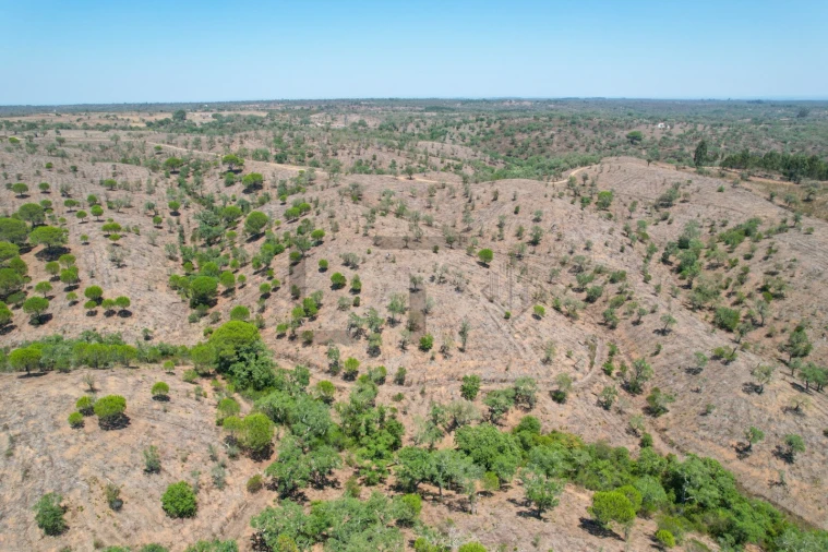 Terreno para Venda em São Francisco da Serra Foto 23