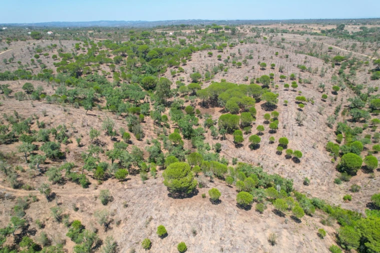 Terreno para Venda em São Francisco da Serra Foto 24