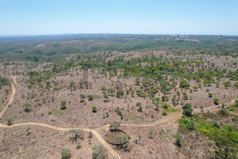 Terreno para Venda em São Francisco da Serra Foto 32