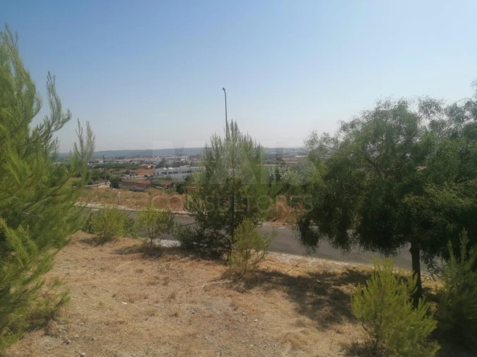 Terreno para Venda em Alenquer (Santo Estêvão e Triana) Foto 5