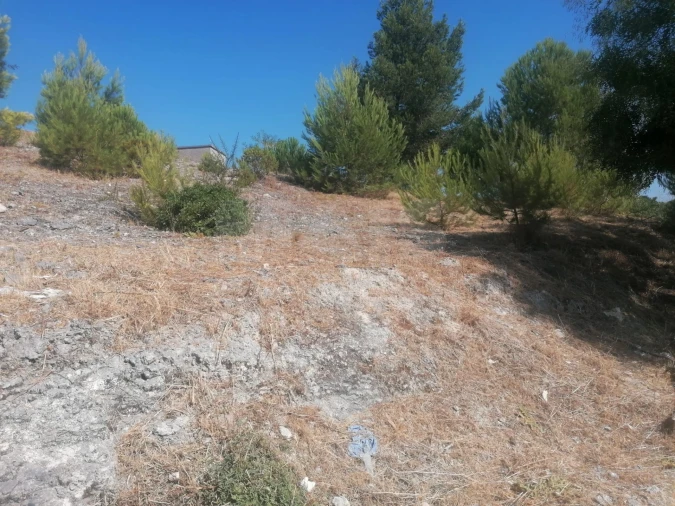 Terreno para Venda em Alenquer (Santo Estêvão e Triana) Foto 2