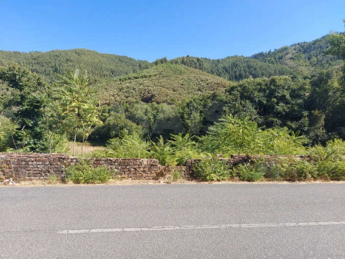 Terreno para Venda em Côja e Barril de Alva Foto 5