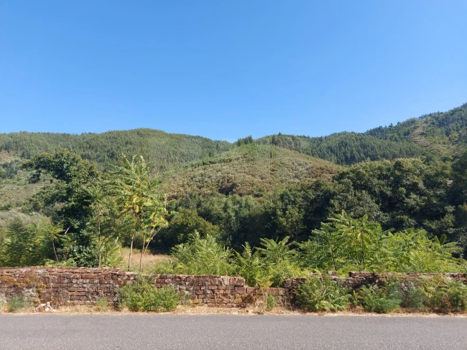 Terreno para Venda em Côja e Barril de Alva Foto 4