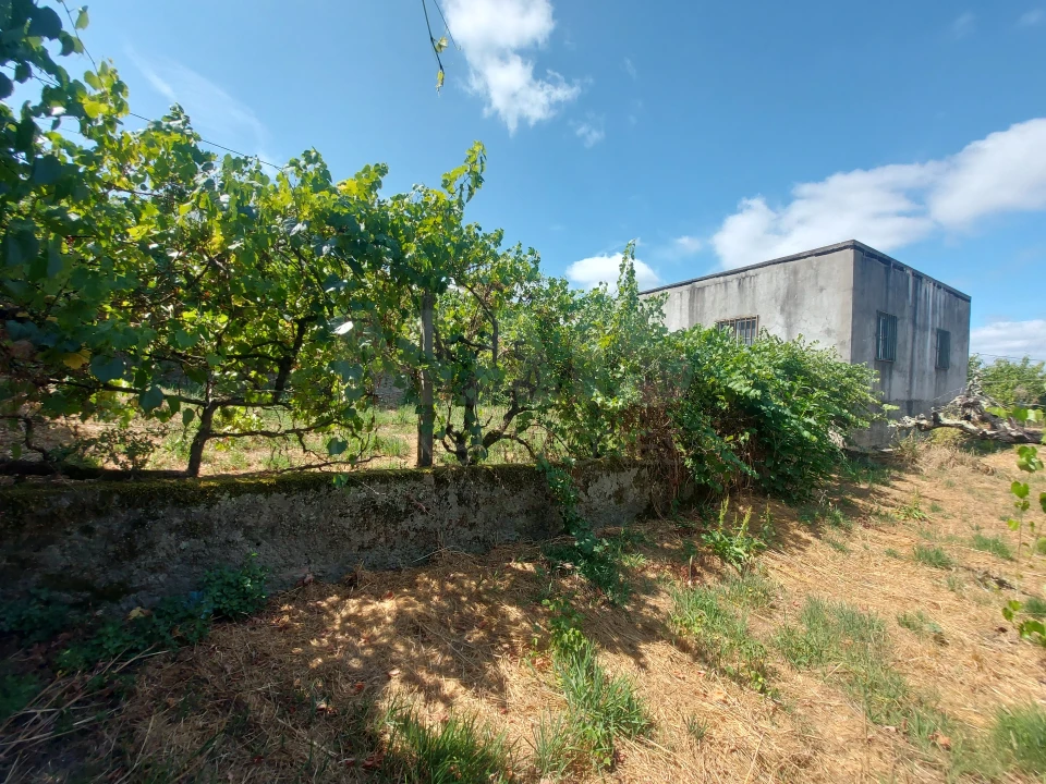 Moradia para Venda em Cerdeira e Moura da Serra Foto 3