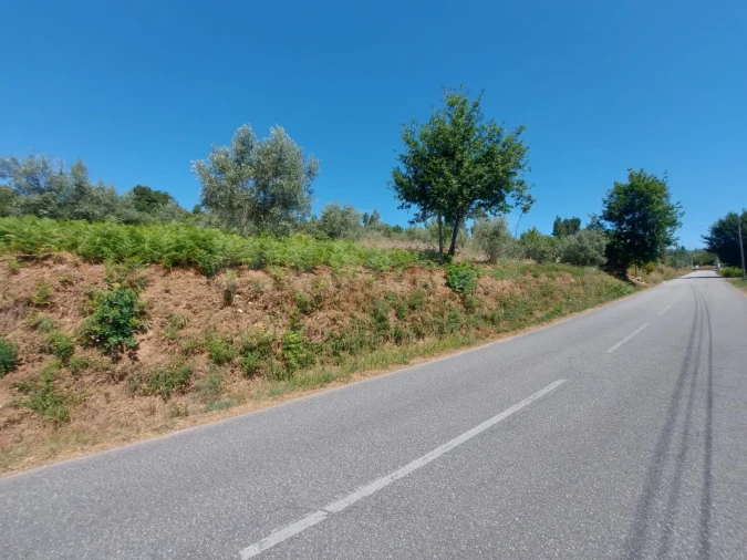 Terreno para Venda em Côja e Barril de Alva Foto 1