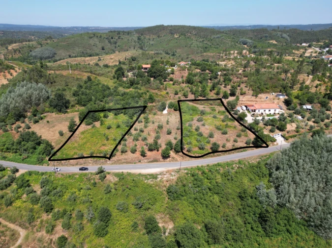 Terreno para Venda em Côja e Barril de Alva Foto 2