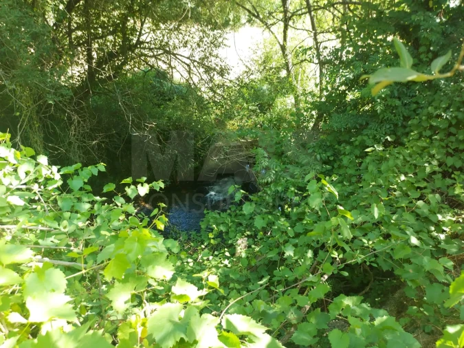 Moradia T2 para Venda em Côja e Barril de Alva Foto 2