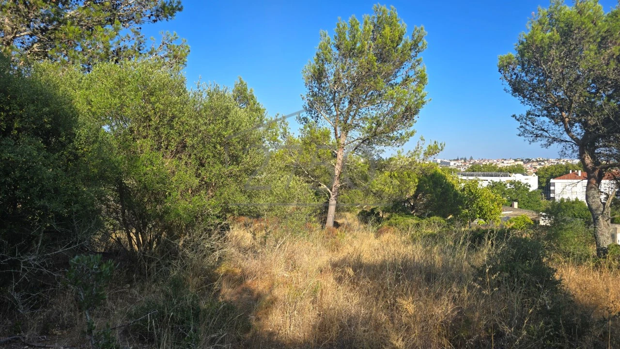 Terreno para Venda em Cascais e Estoril Foto 3