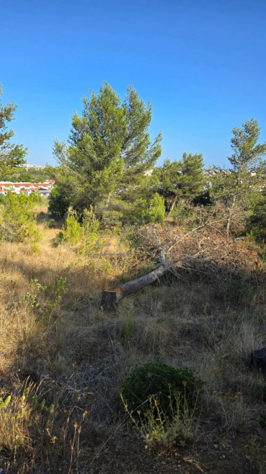Terreno para Venda em Cascais e Estoril Foto 6