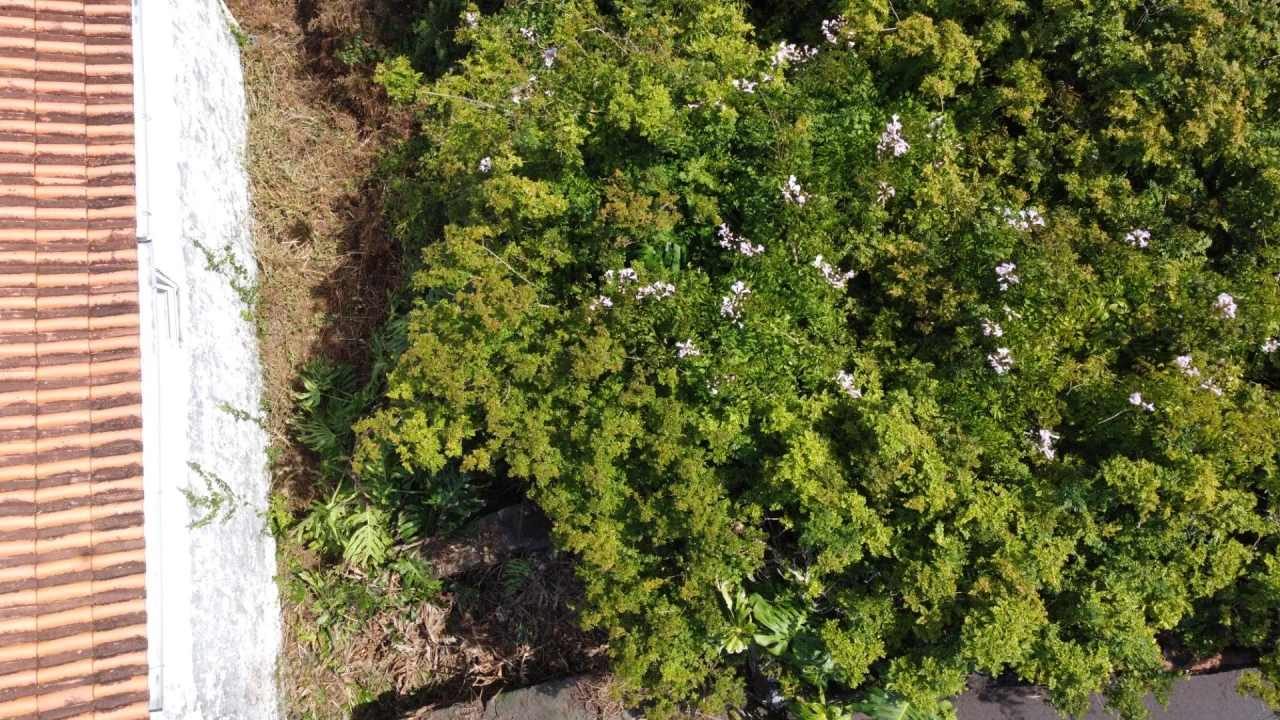 Moradia para Venda em São Roque do Pico Foto 21