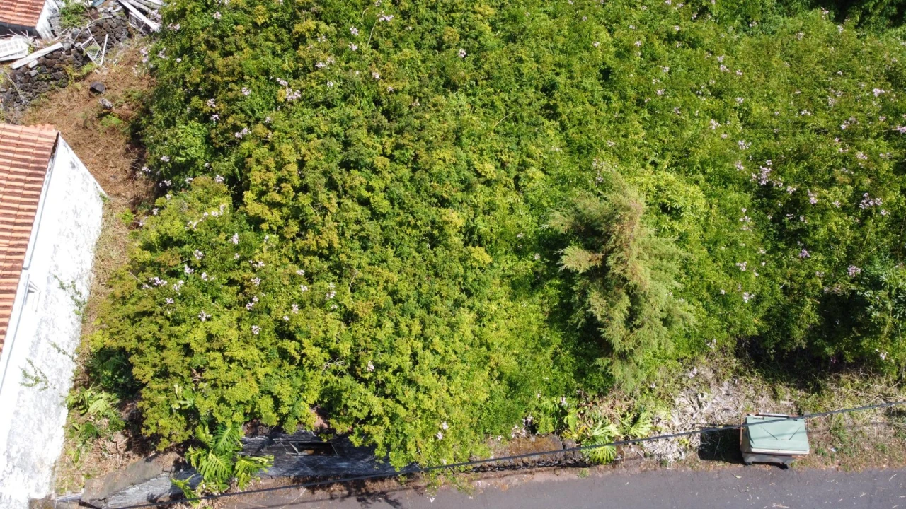 Moradia para Venda em São Roque do Pico Foto 4