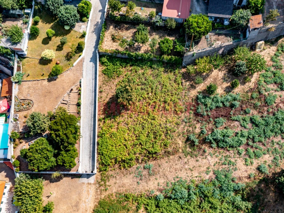 Terreno para Venda em Seia, São Romão e Lapa dos Dinheiros Foto 2