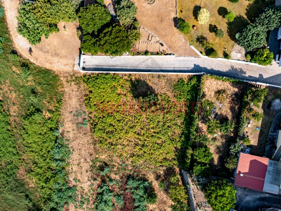 Terreno para Venda em Seia, São Romão e Lapa dos Dinheiros Foto 4