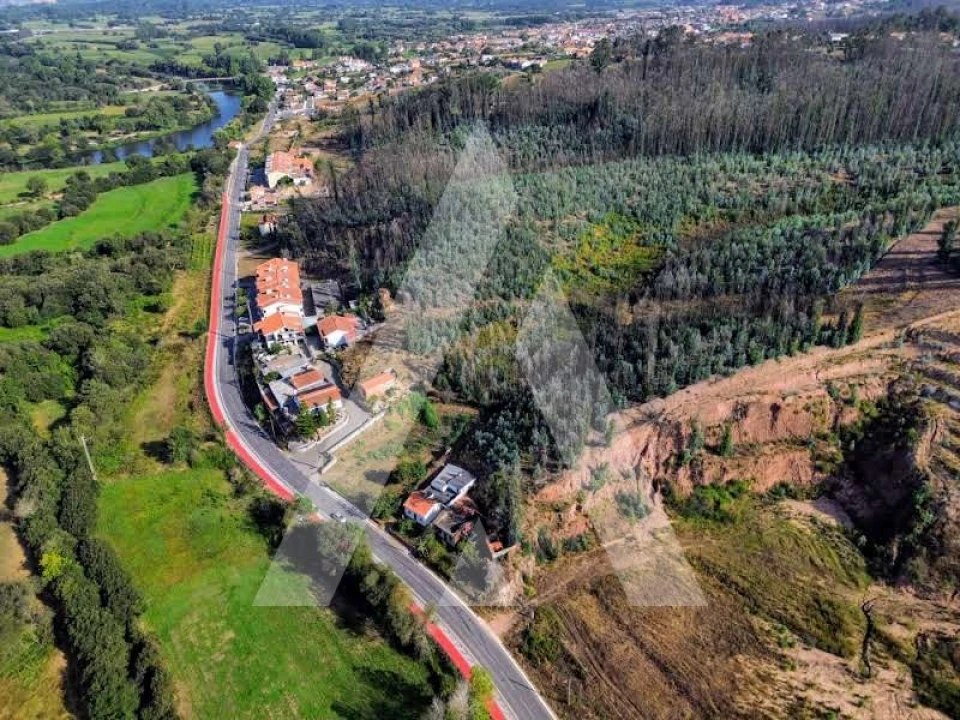 Terreno para Venda em São João de Loure e Frossos Foto 1