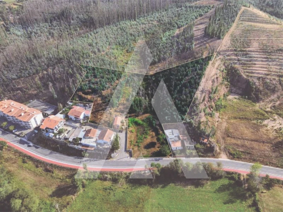 Terreno para Venda em São João de Loure e Frossos Foto 2
