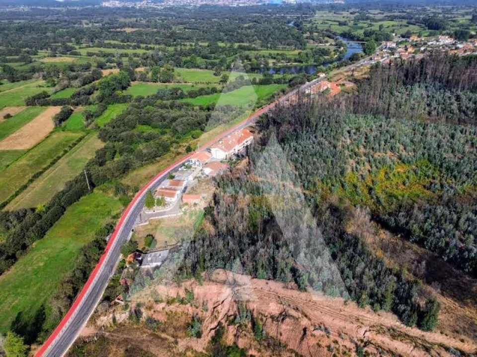 Terreno para Venda em São João de Loure e Frossos Foto 13
