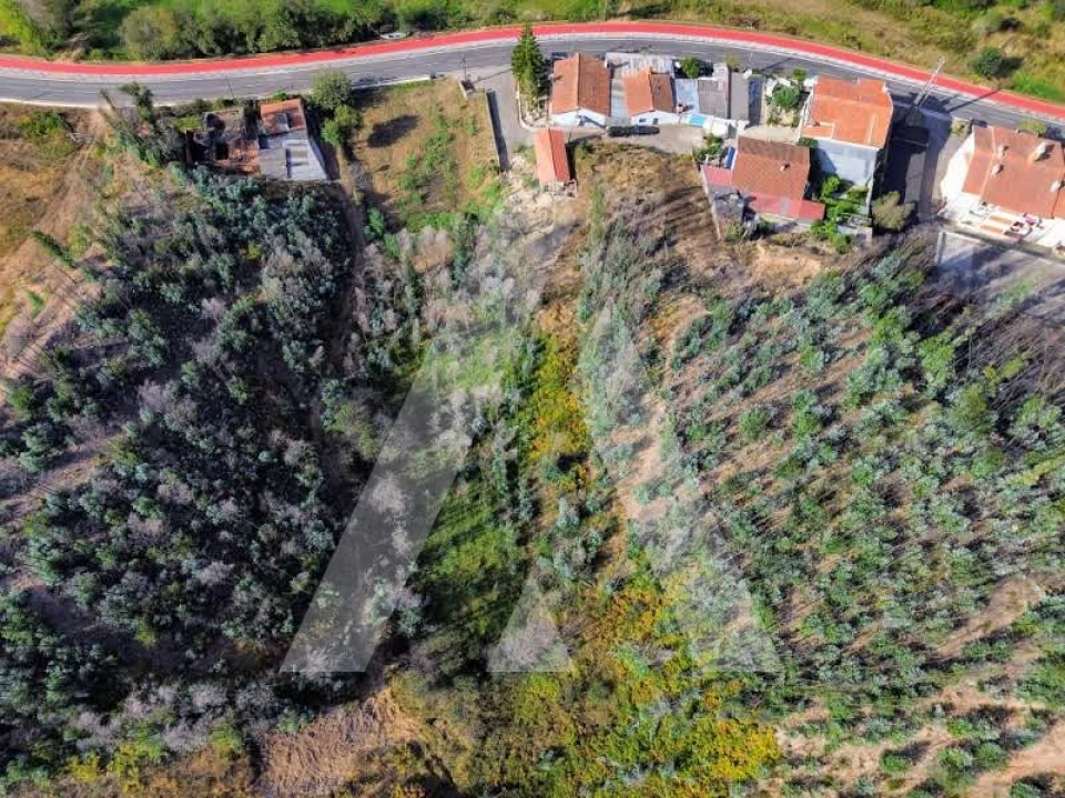 Terreno para Venda em São João de Loure e Frossos Foto 15