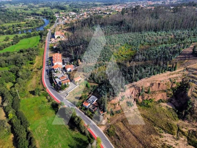 Terreno para Venda em São João de Loure e Frossos Foto 1