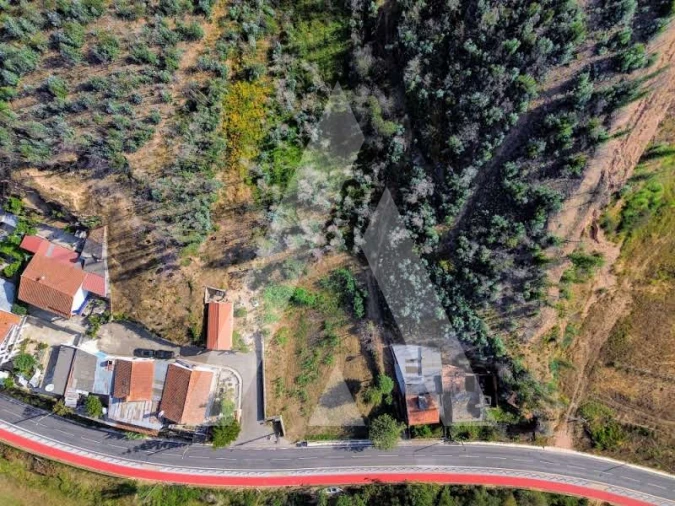 Terreno para Venda em São João de Loure e Frossos Foto 3