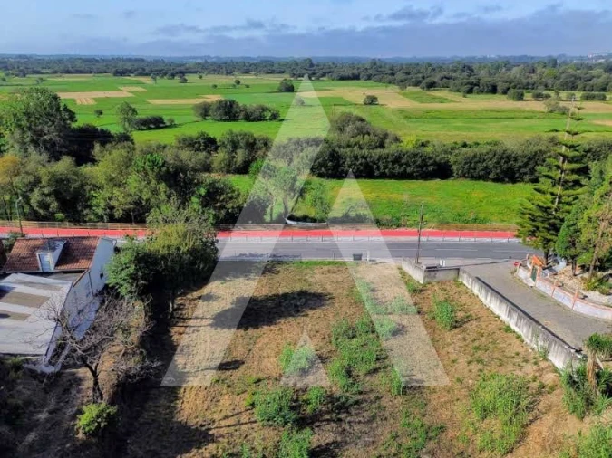 Terreno para Venda em São João de Loure e Frossos Foto 4