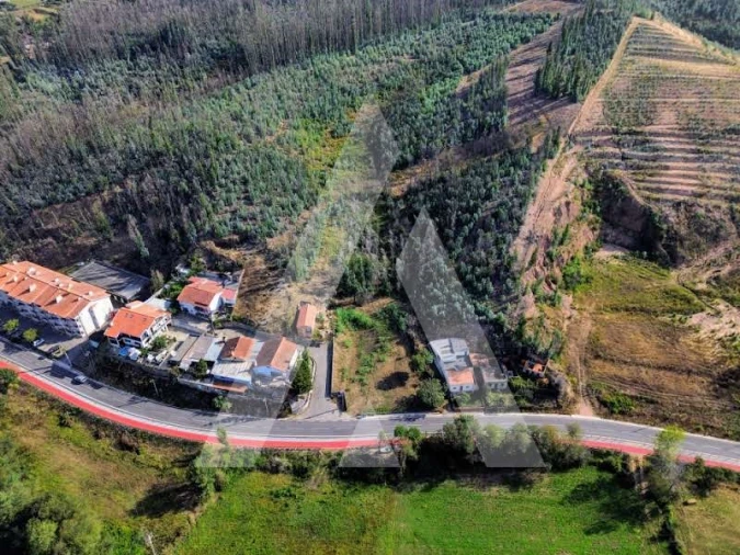 Terreno para Venda em São João de Loure e Frossos Foto 7