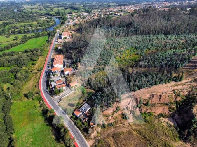 Terreno para Venda em São João de Loure e Frossos Foto 8
