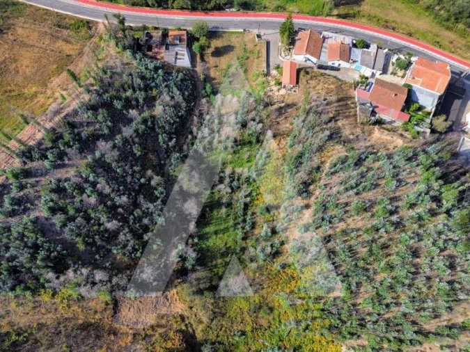 Terreno para Venda em São João de Loure e Frossos Foto 9