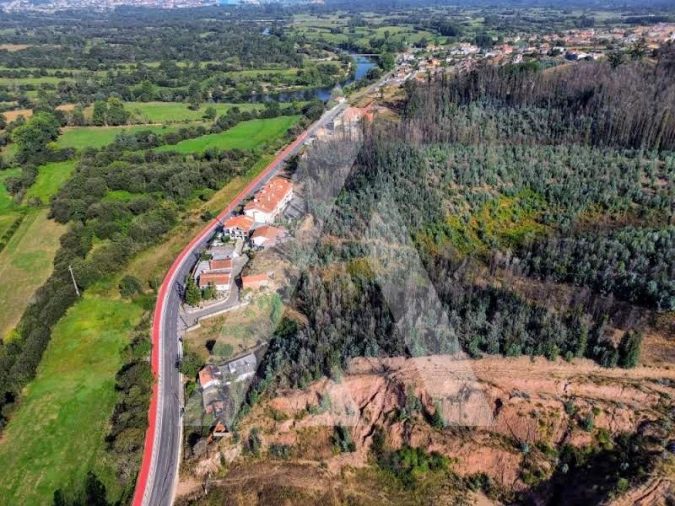Terreno para Venda em São João de Loure e Frossos Foto 10