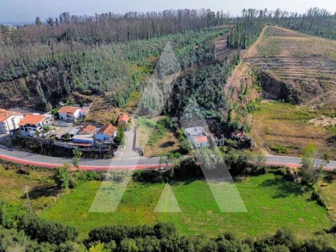 Terreno para Venda em São João de Loure e Frossos Foto 11
