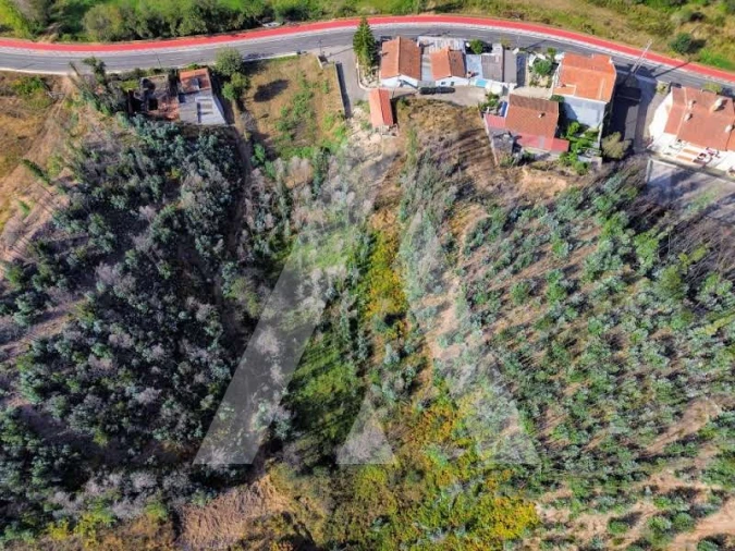 Terreno para Venda em São João de Loure e Frossos Foto 15