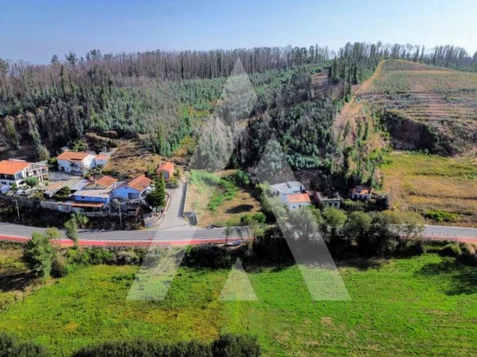 Terreno para Venda em São João de Loure e Frossos Foto 16