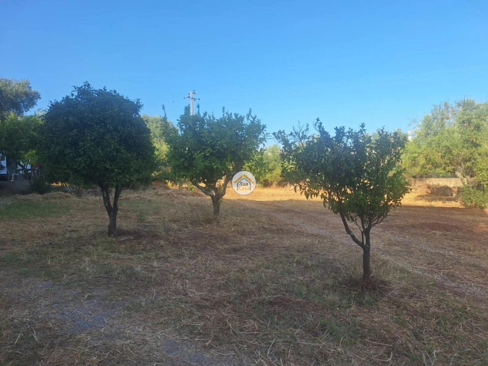 Terreno para Venda em São Brás de Alportel Foto 7