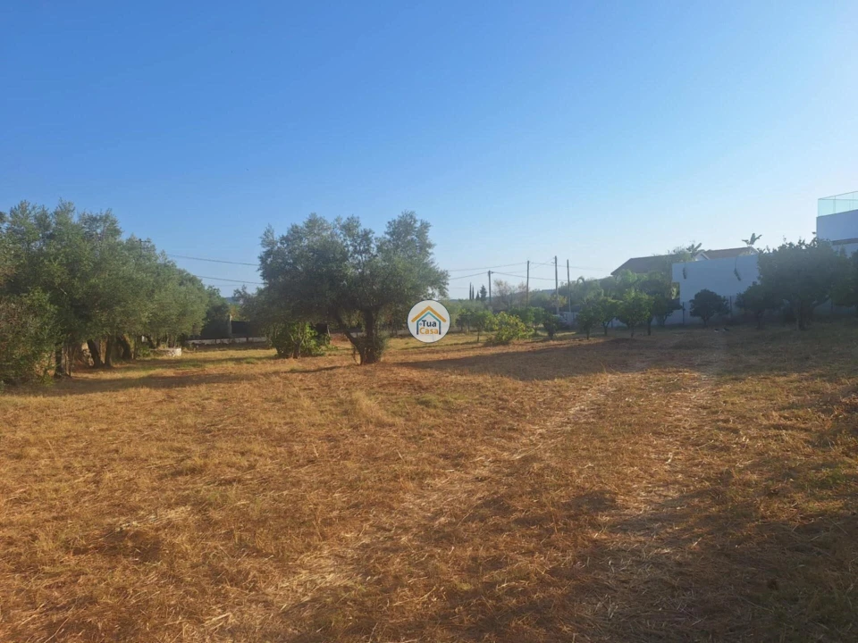 Terreno para Venda em São Brás de Alportel Foto 2