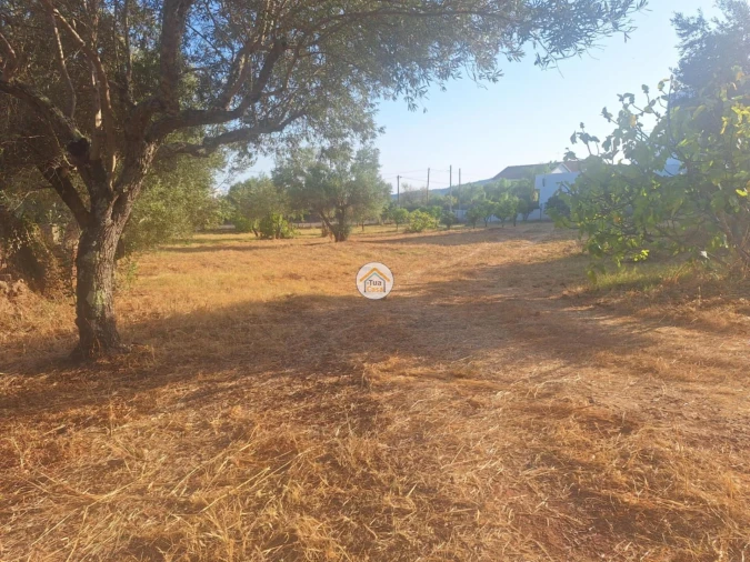 Terreno para Venda em São Brás de Alportel Foto 4