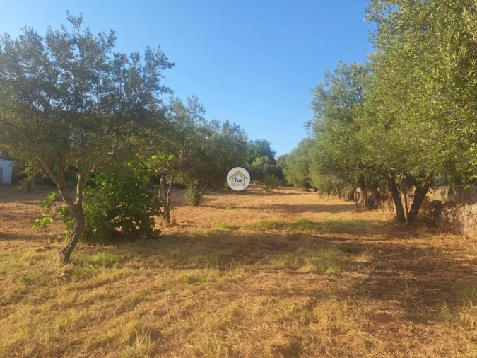 Terreno para Venda em São Brás de Alportel Foto 3