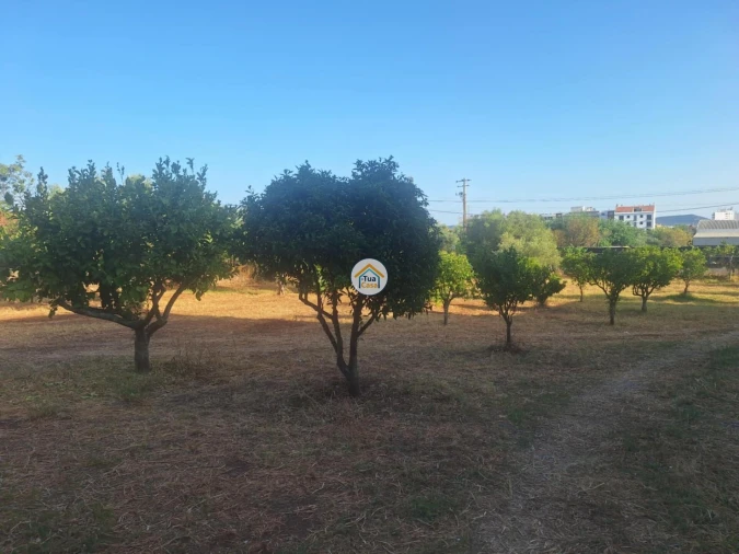 Terreno para Venda em São Brás de Alportel Foto 5