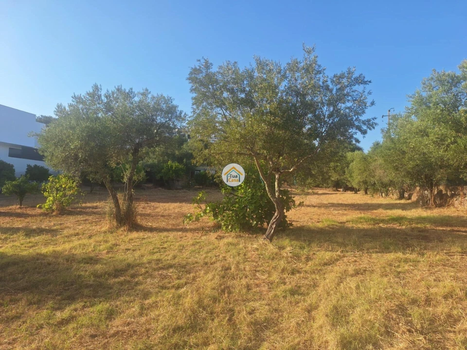 Terreno para Venda em São Brás de Alportel Foto 11